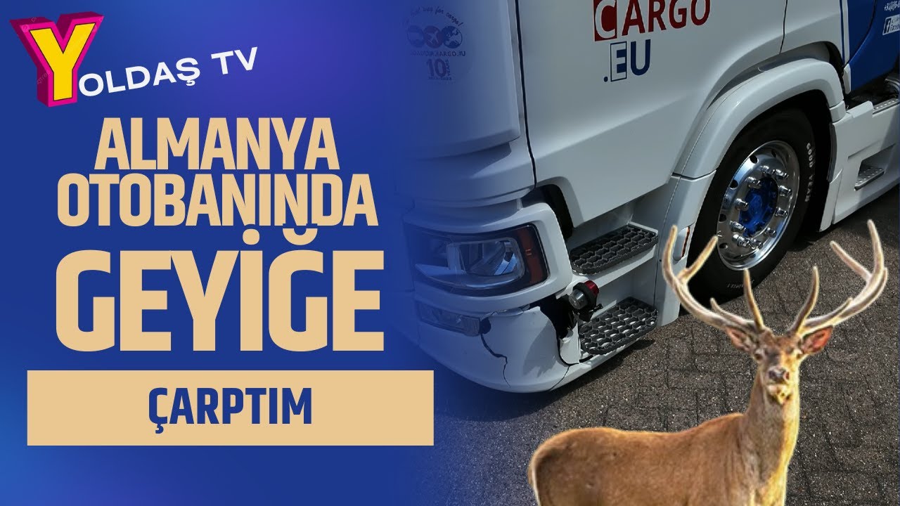 ALMANYA OTOBANINDA GEYİĞE ÇARPTIM YENİ SCANİA PERT OLDU 😜 ALMANYA HAMBURG SEFERİ