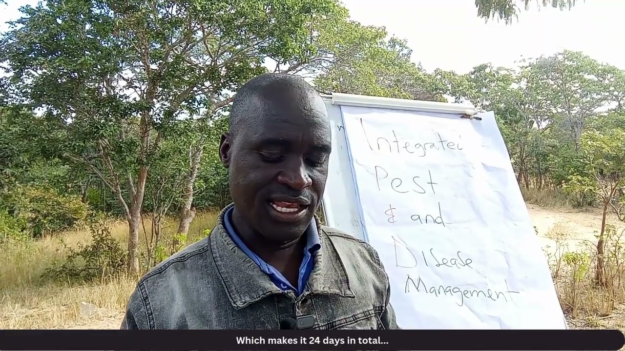 HURUNGWE & NYAMINYAMI IPDM WORKSHOP VIDEO REPORT