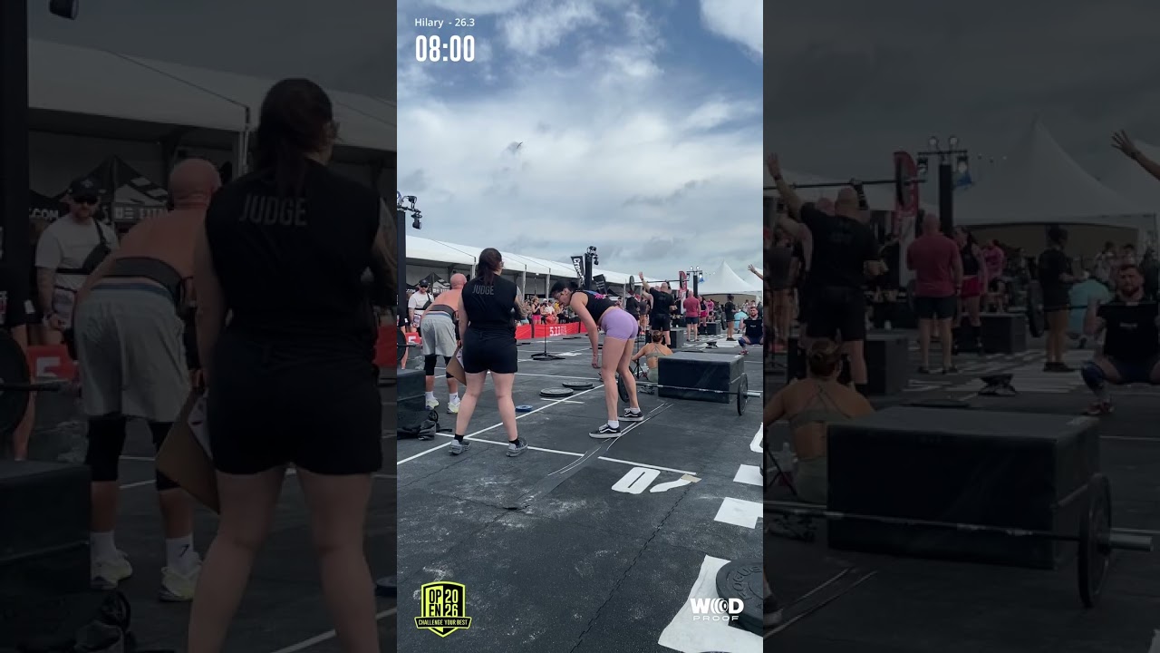 26.3