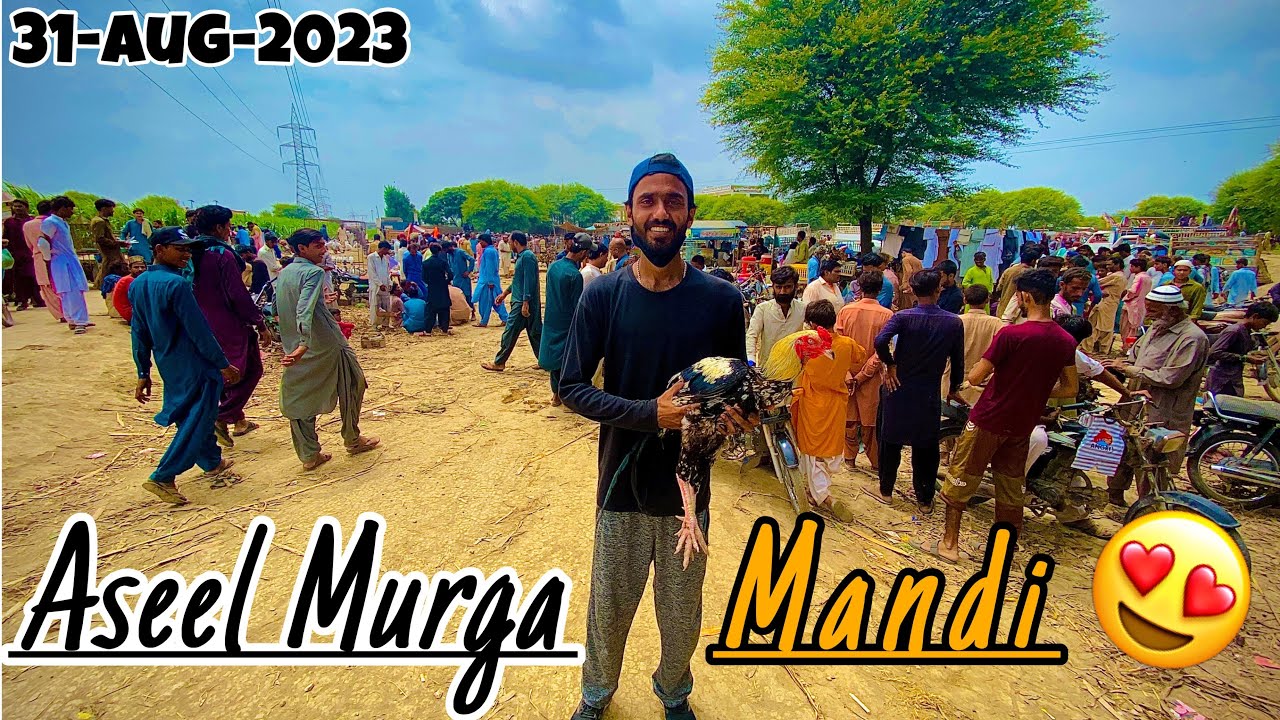 Aj Hum Murga Lene Mashoor Aseel Murga Mandi Agaye 😍 | Pets Vlogs 💖