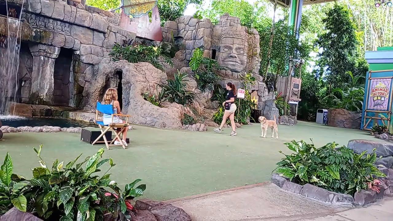 ANIMAL  ACTORS AT UNIVERSAL STUDIOS