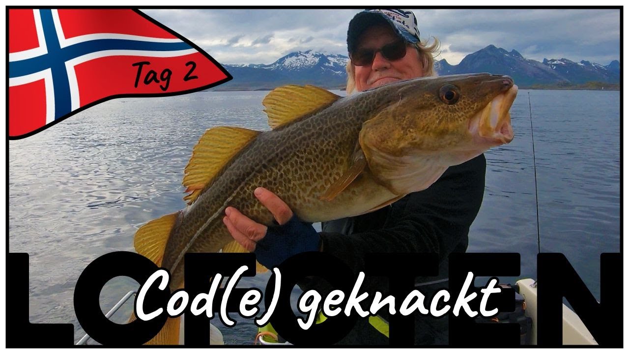 Cod(e) geknackt | Wir zupfen zickige Dorsche aus dem Angelrevier der LOFOTEN