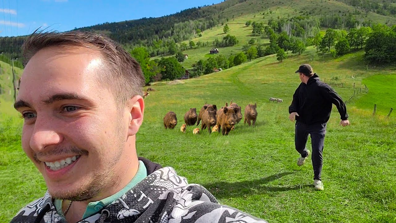 zlatibor, srbija