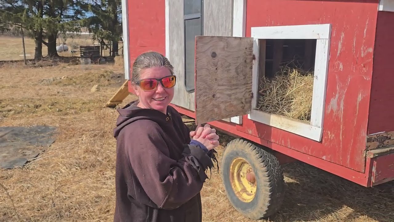 A look at Our New Mobile Chicken Coop.