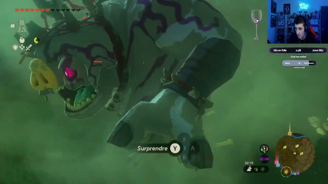 Zelda TOTK#24