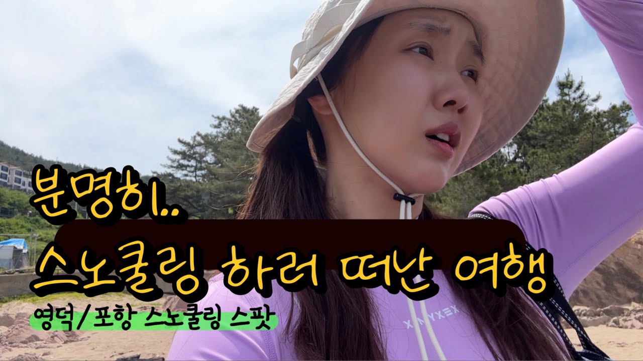 이건 아니야😨 스노쿨링 하러 떠난 영덕,포항,부산 여행 (with 희수투어)