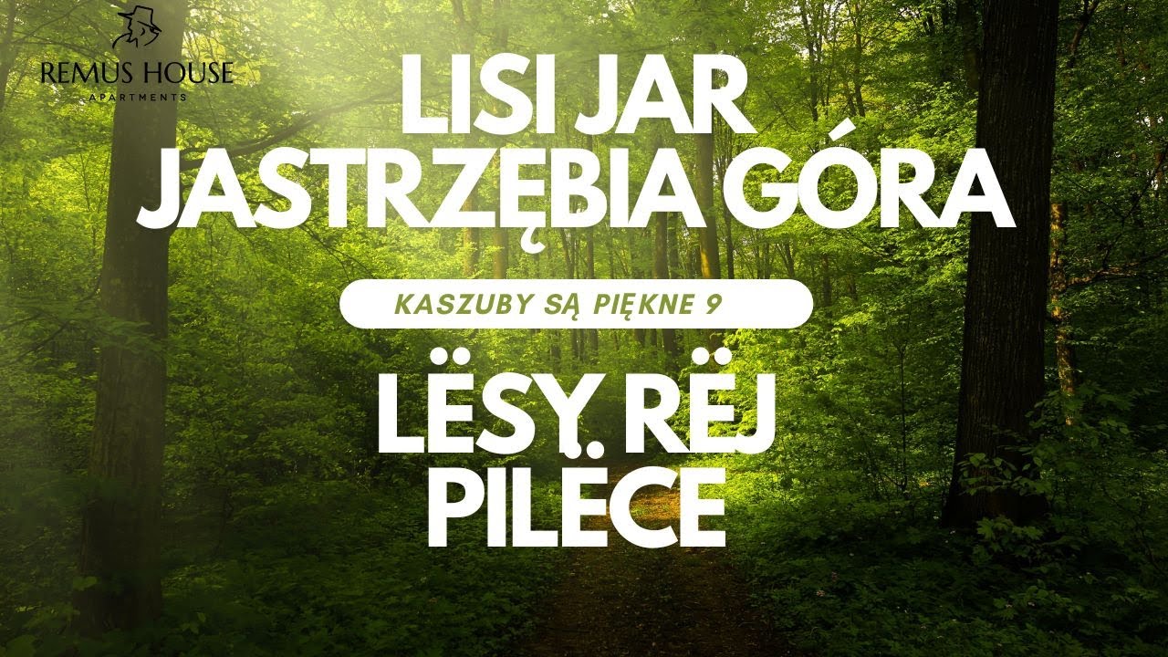 Najpiękniejszy spacer nad morzem Lisi Jar Jastrzębia Góra Kaszuby są piękne 9 Remus House Apartments