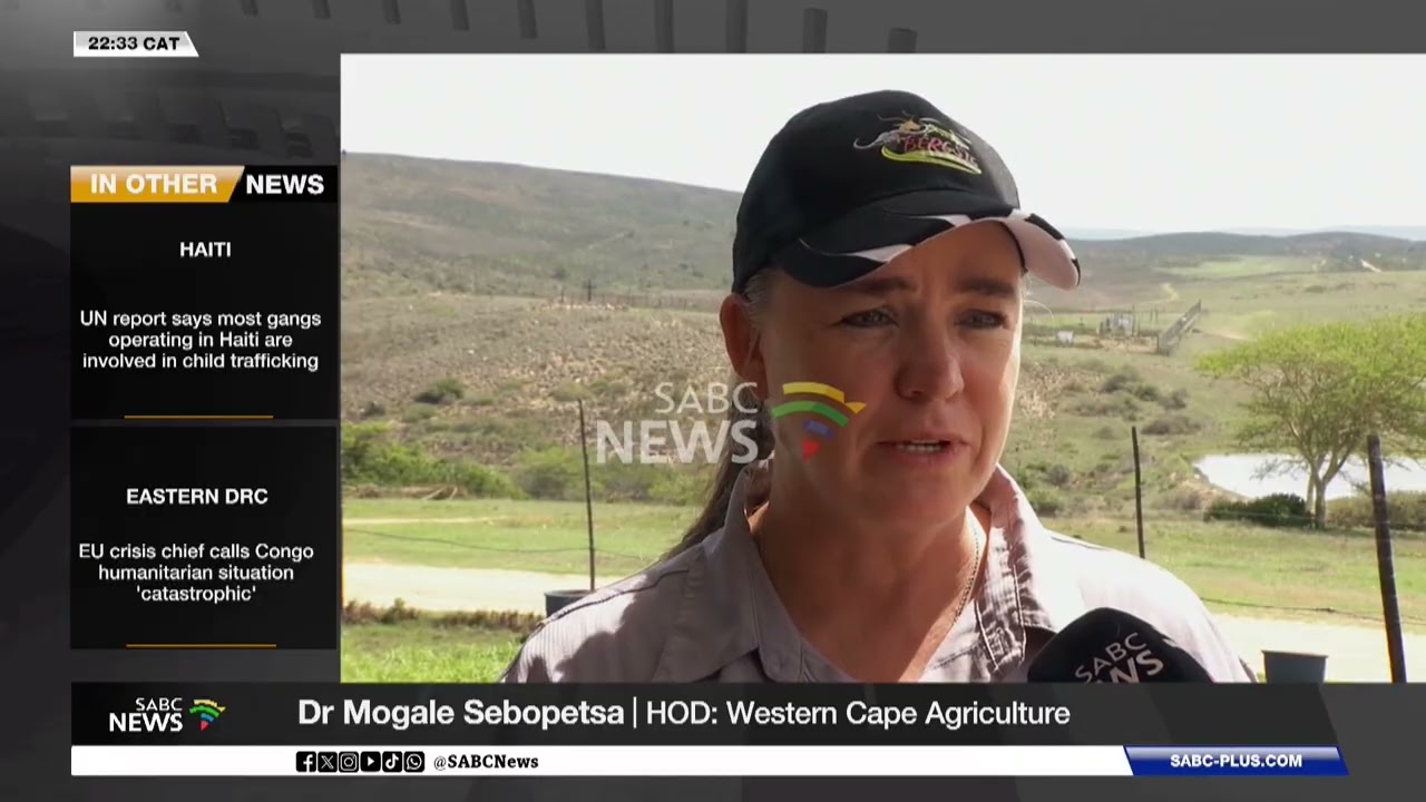 Efforts to contain FMD in the Garden Route