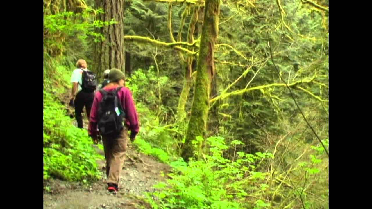 Spring in the NW