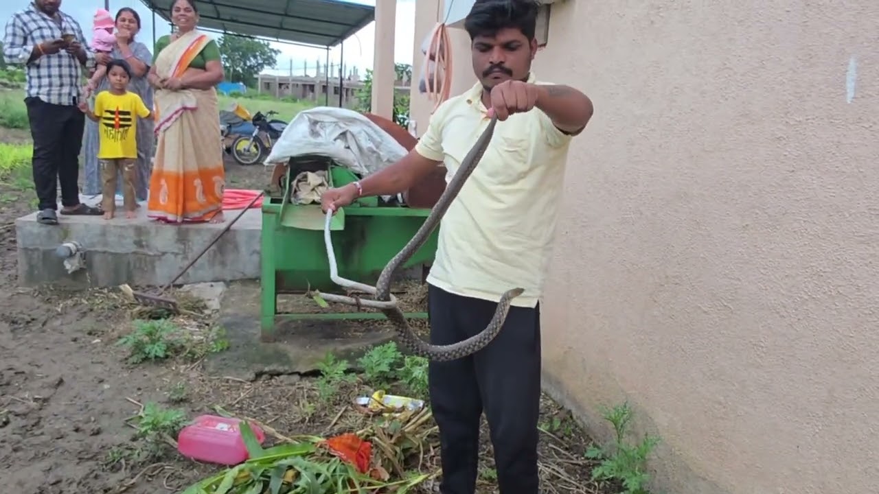 पानी वाले साँप का सुरक्षित रेस्क्यू | Water Snake Rescue 🐍Snake resque video 2025
