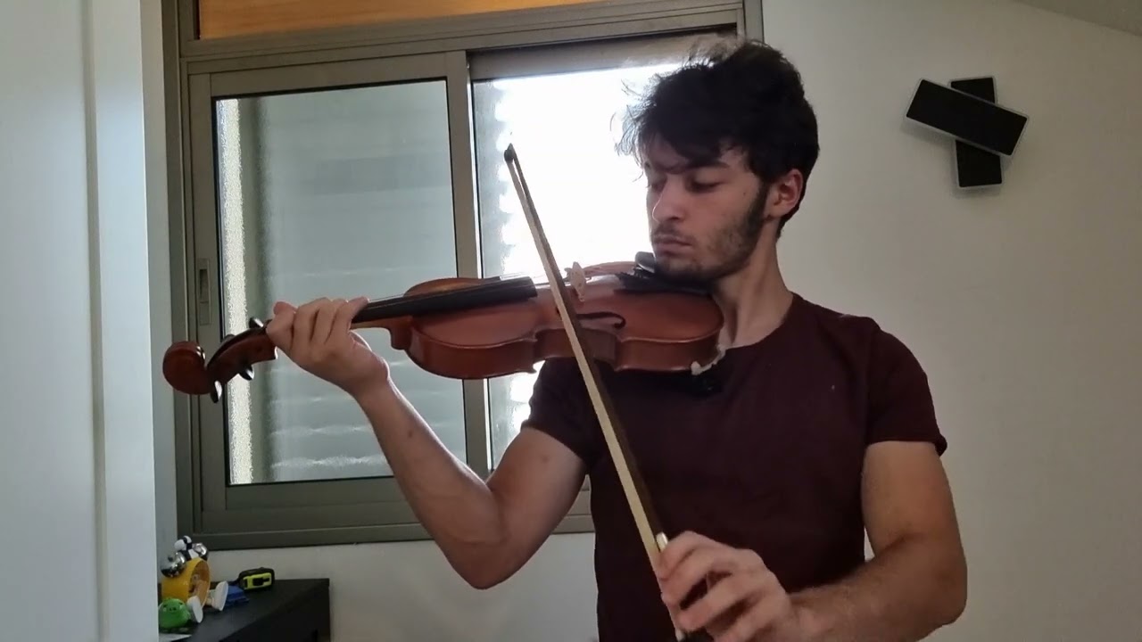 Fallen Down Reprise(Toby Fox) | violin cover