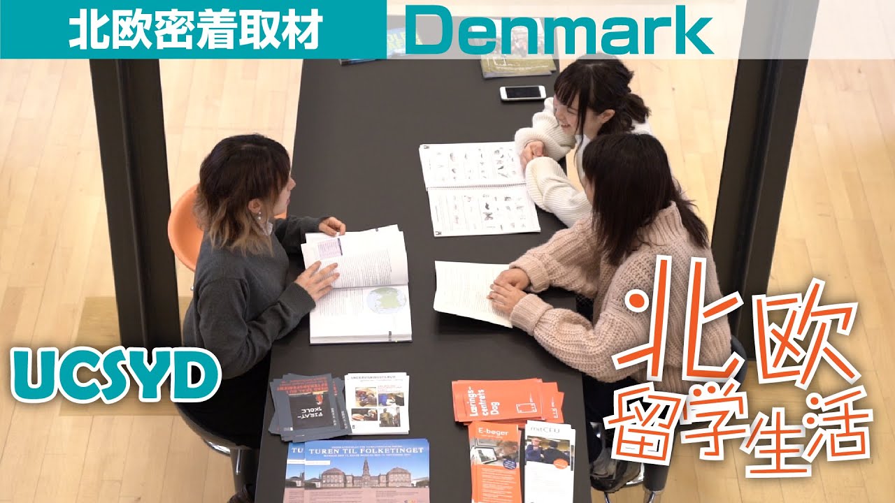 【留学生活】デンマーク　ハザスレウ　UCSYD【北欧】