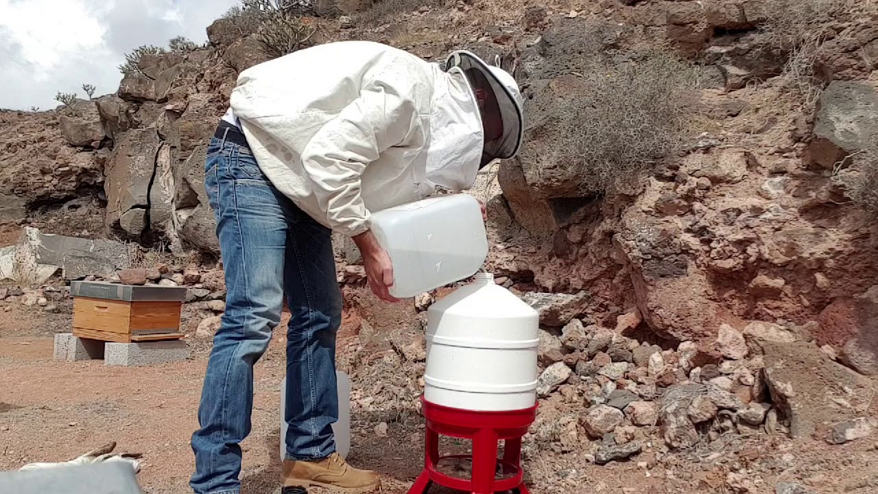 BEBEDERO F&Aacute;CIL PARA ABEJAS 2