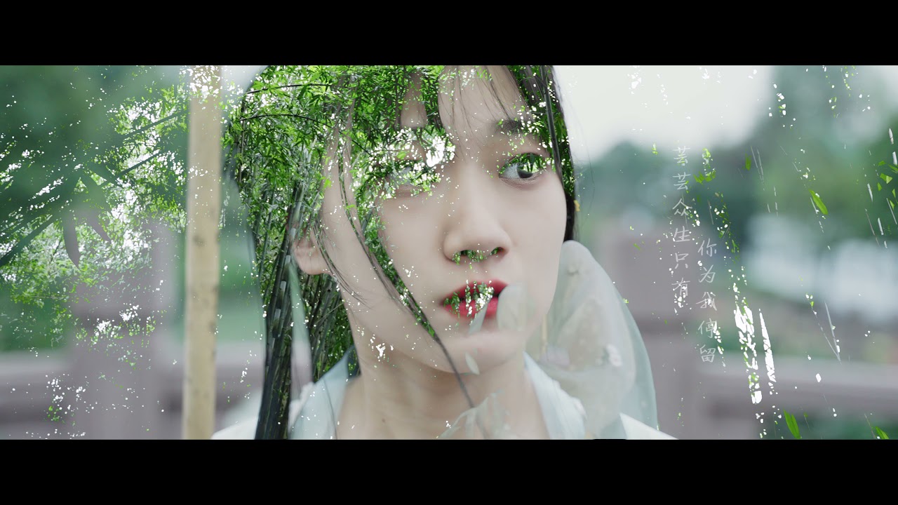 音阙诗听/王梓钰《人间芳菲》Music Video 丨等到你之后天涯有尽头