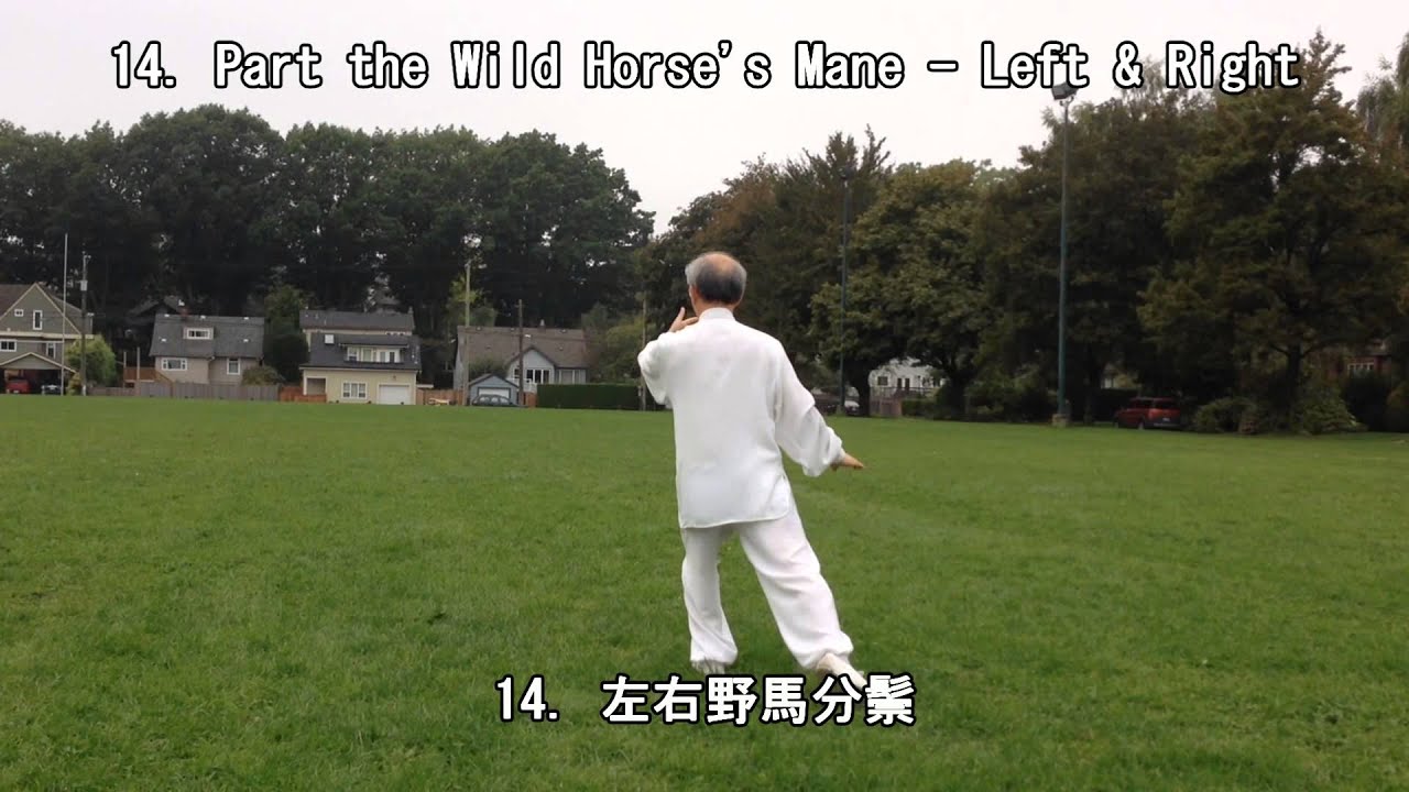 40 Form Tai Chi (Back View) (2013.09.14)