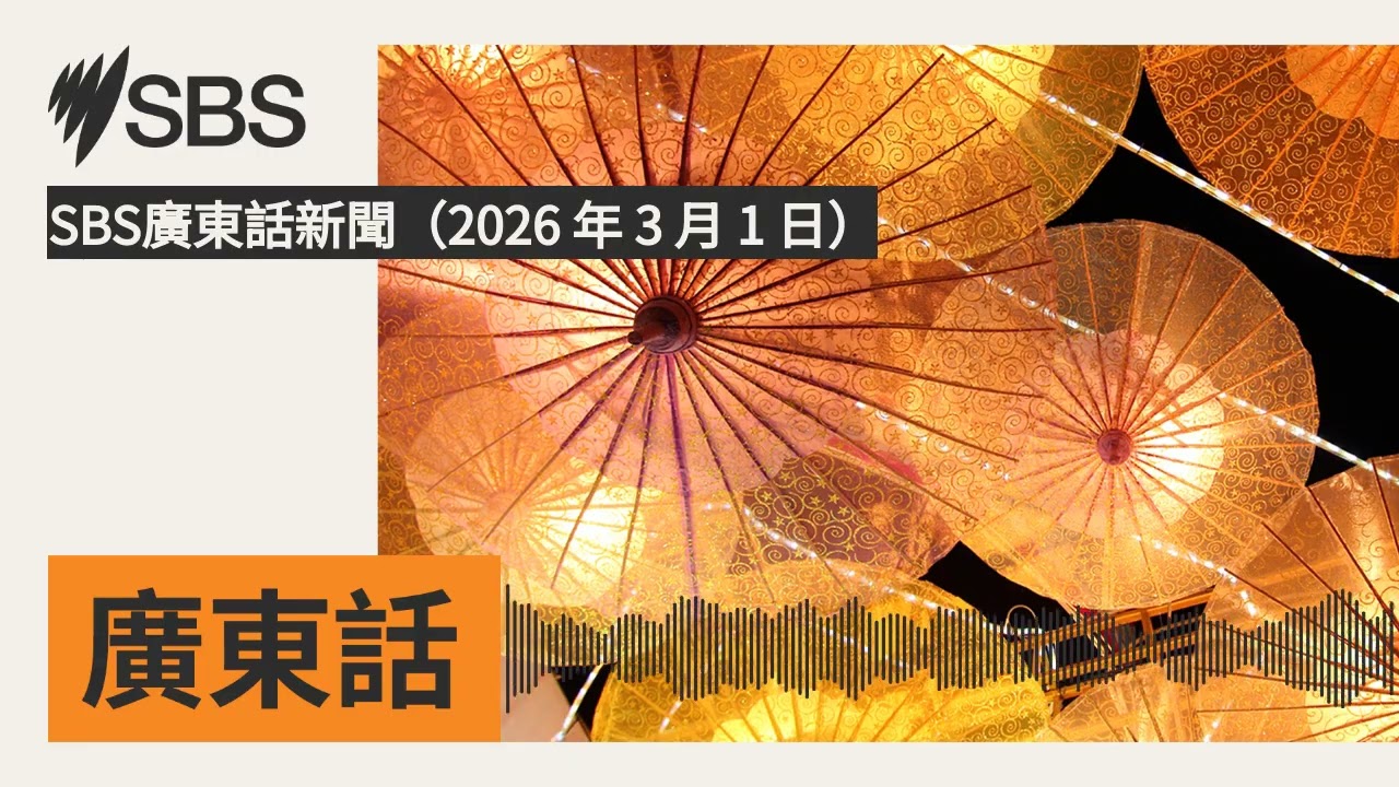 SBS廣東話新聞（2026 年 3 月 1 日） | SBS Cantonese - SBS廣東話節目