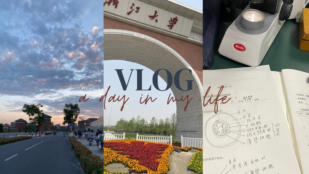 a day in my life as a student in zhejiang university✨ #students #china