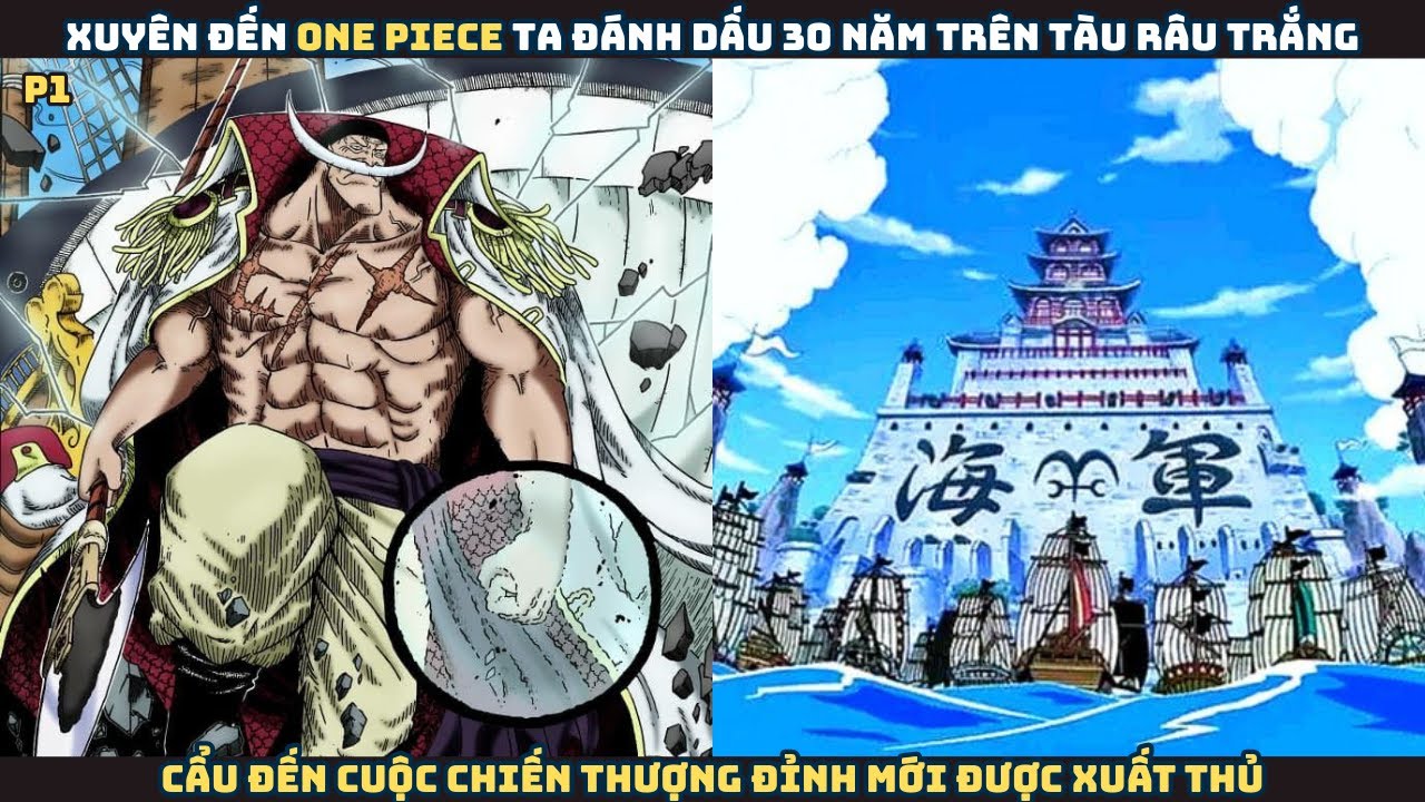 Xuyên tới One Piece, ta điểm danh 30 năm trên tàu Râu Trắng, đến cuộc chiến thượng đỉnh - P1