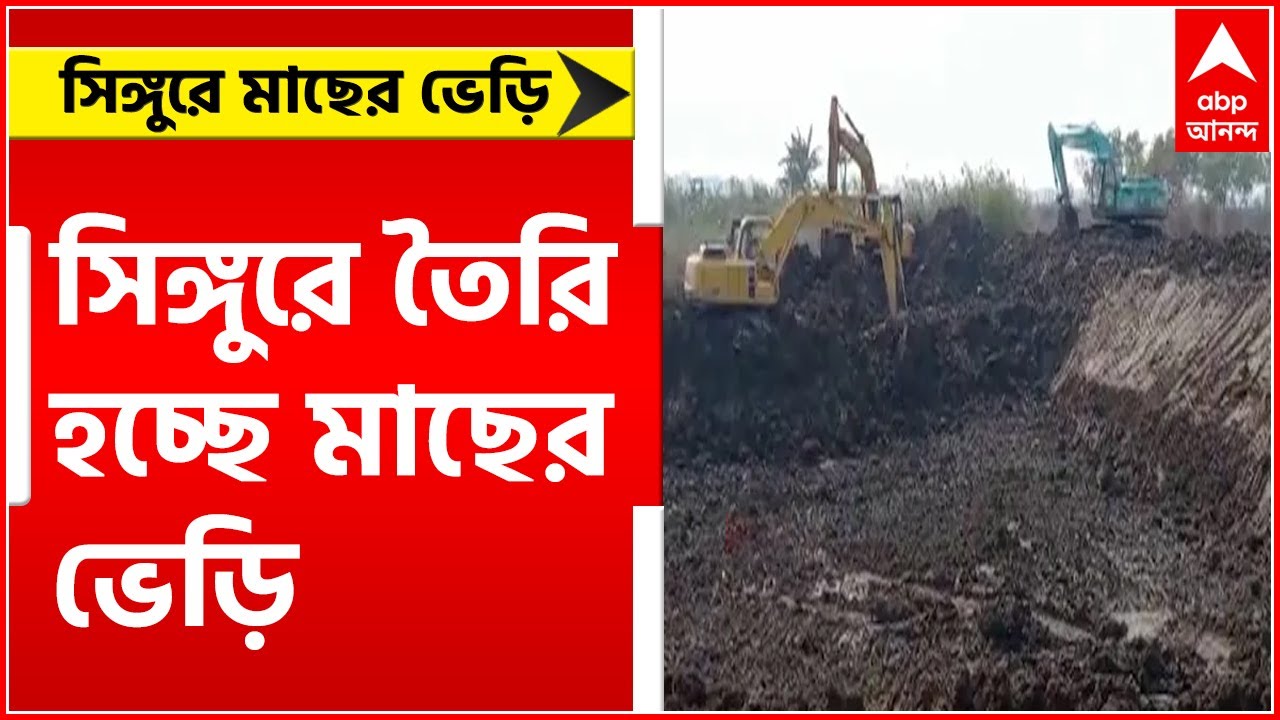 Singur: সিঙ্গুরের গোপালনগর মৌজায় তৈরি হচ্ছে মাছের ভেড়ি । Bangla News