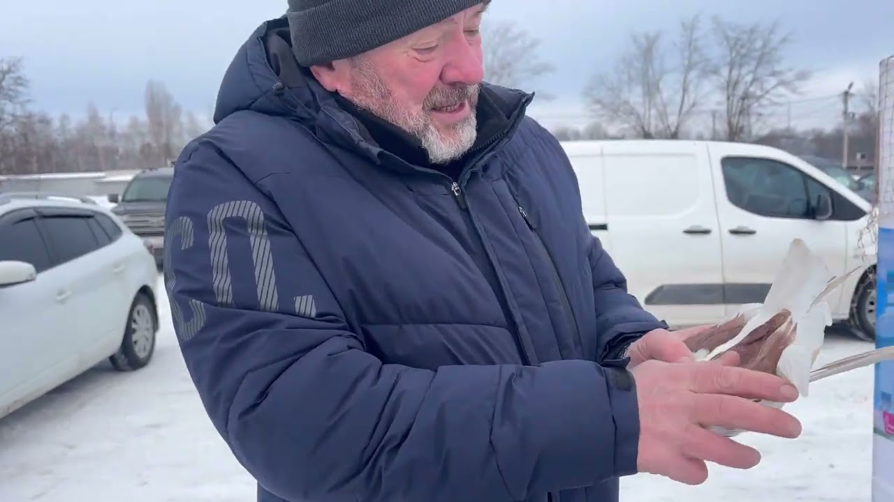 Ярмарок голубів та інших тварив .Білогородка  22.02.26р