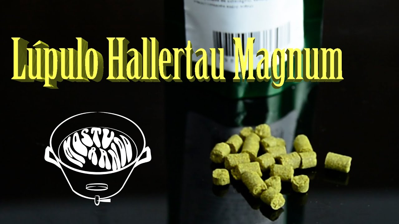 Lúpulo Hallertau Magnum — Lúpulo para tudo!