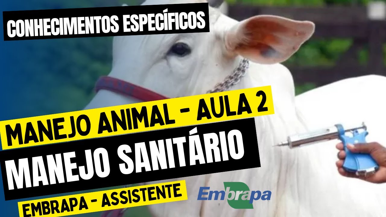 Aula 2 | MANEJO ANIMAL - Matéria específica do concurso para ASSISTENTE - EMBRAPA 2025