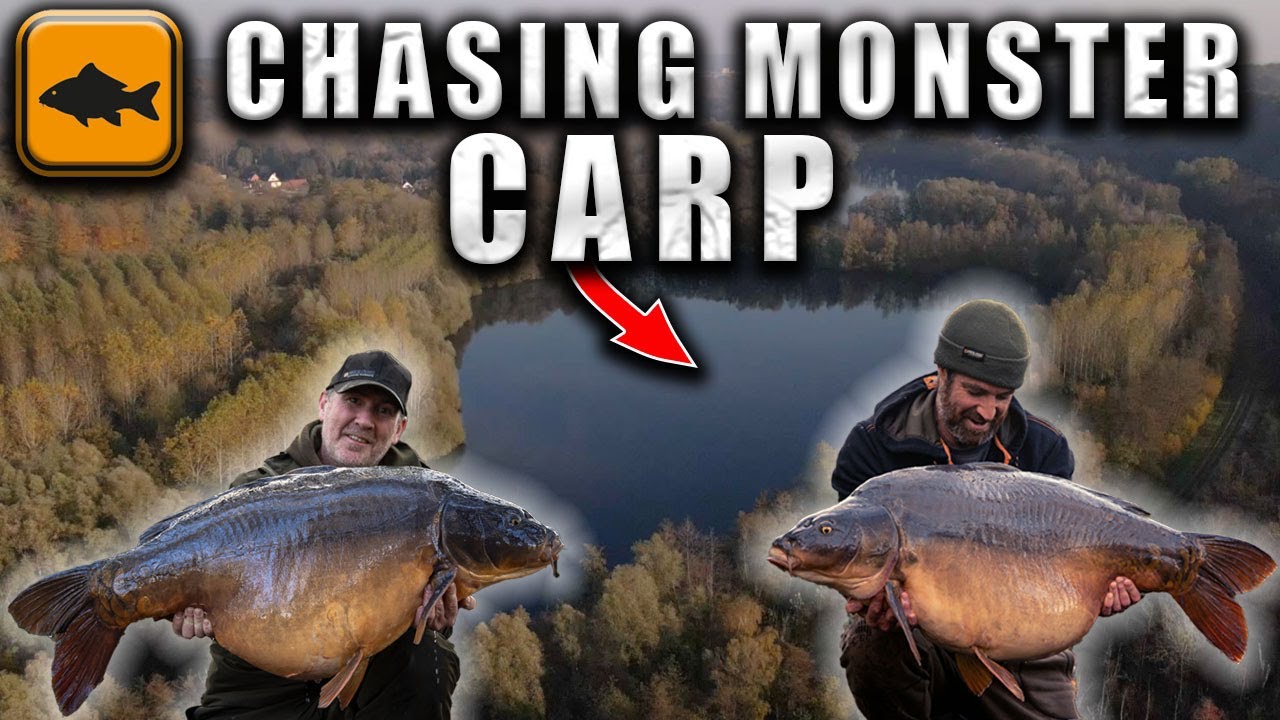 Chasing Monsters, Les Etangs Des Chantereiene - Carp Fishing
