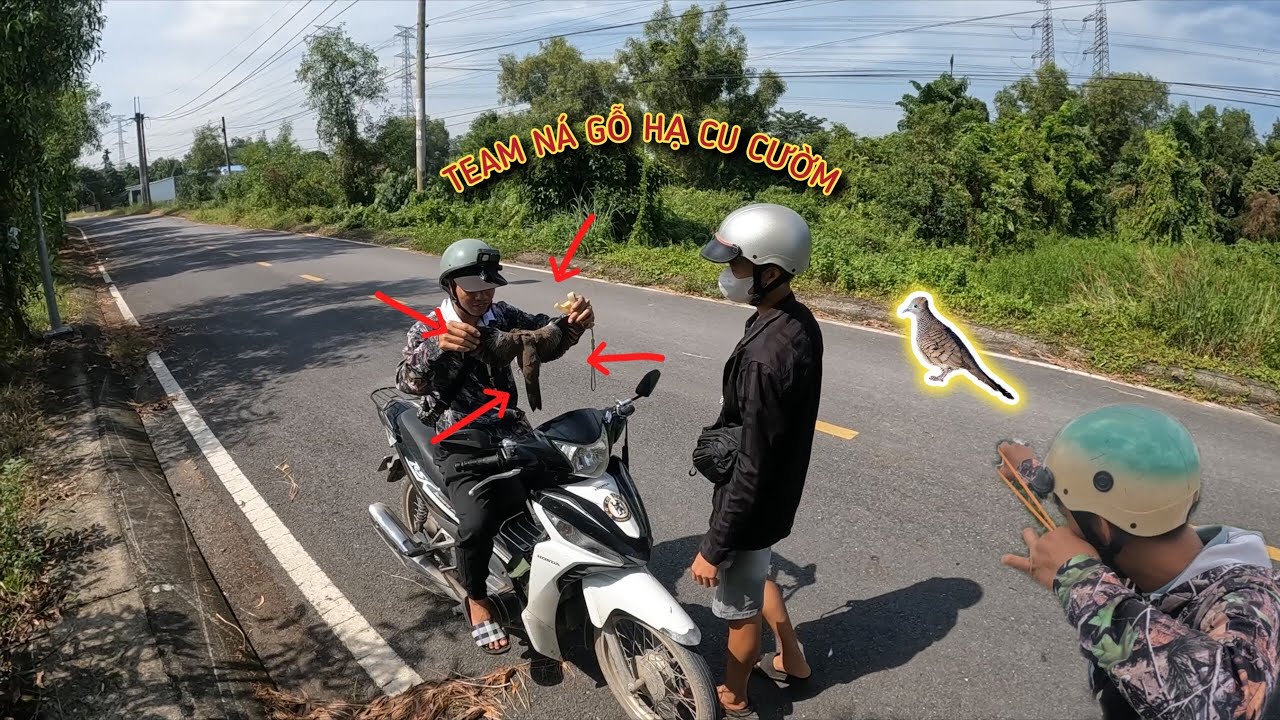 TEAM NÁ GỖ | Tiếp tục hạ được Cu Đất to | Chuyến đi săn vui vẻ cùng đồng đội