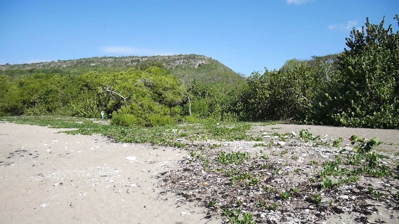 Coastal landscape at Ojo del Toro embayment, Granma Province, Oriente, Cuba