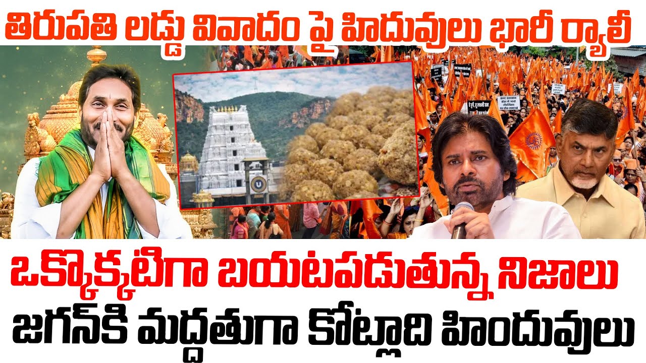 జగన్ కి మద్దతుగా కోట్లాది హిందువులు..! ఒక్కొక్కటిగా బయటపడుతున్న నిజాలు  |AP Politics |Tirupati Laddu