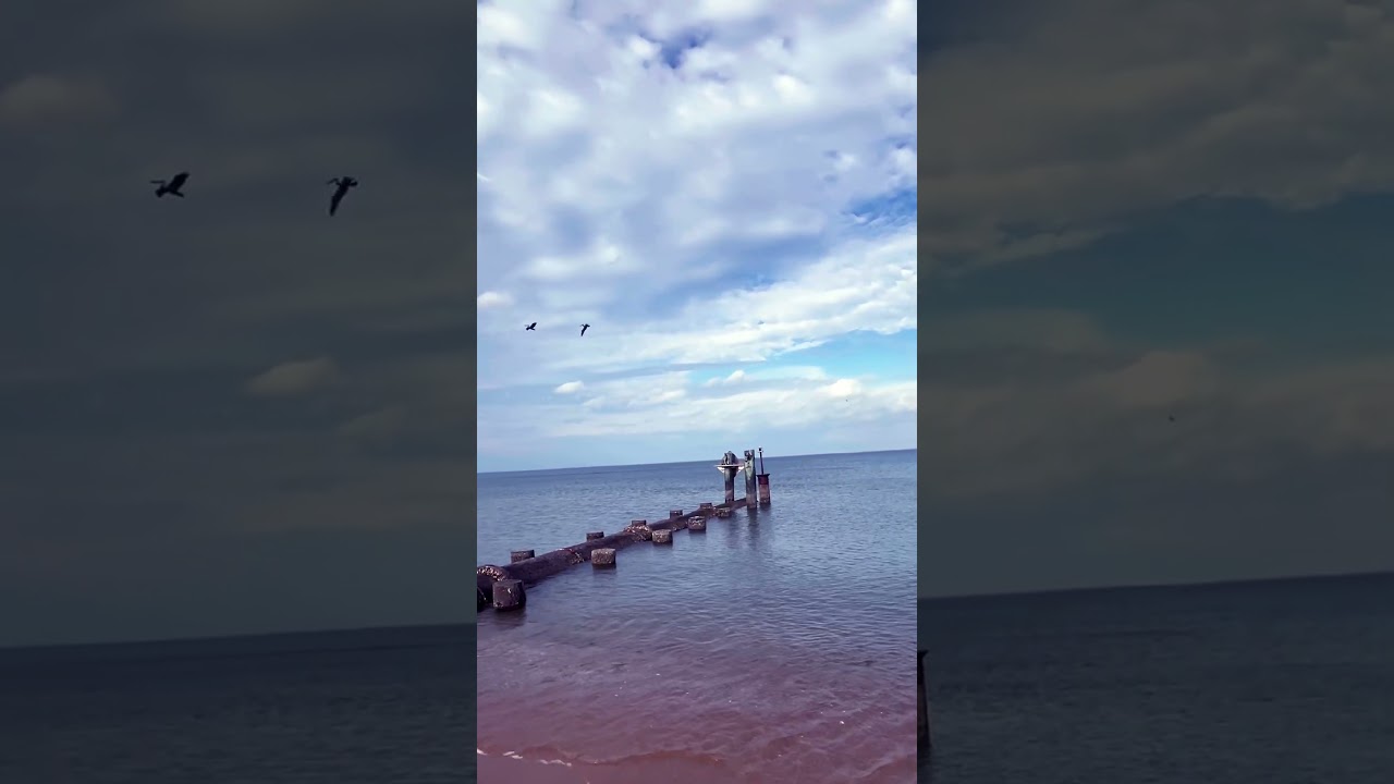 Can you see it? 