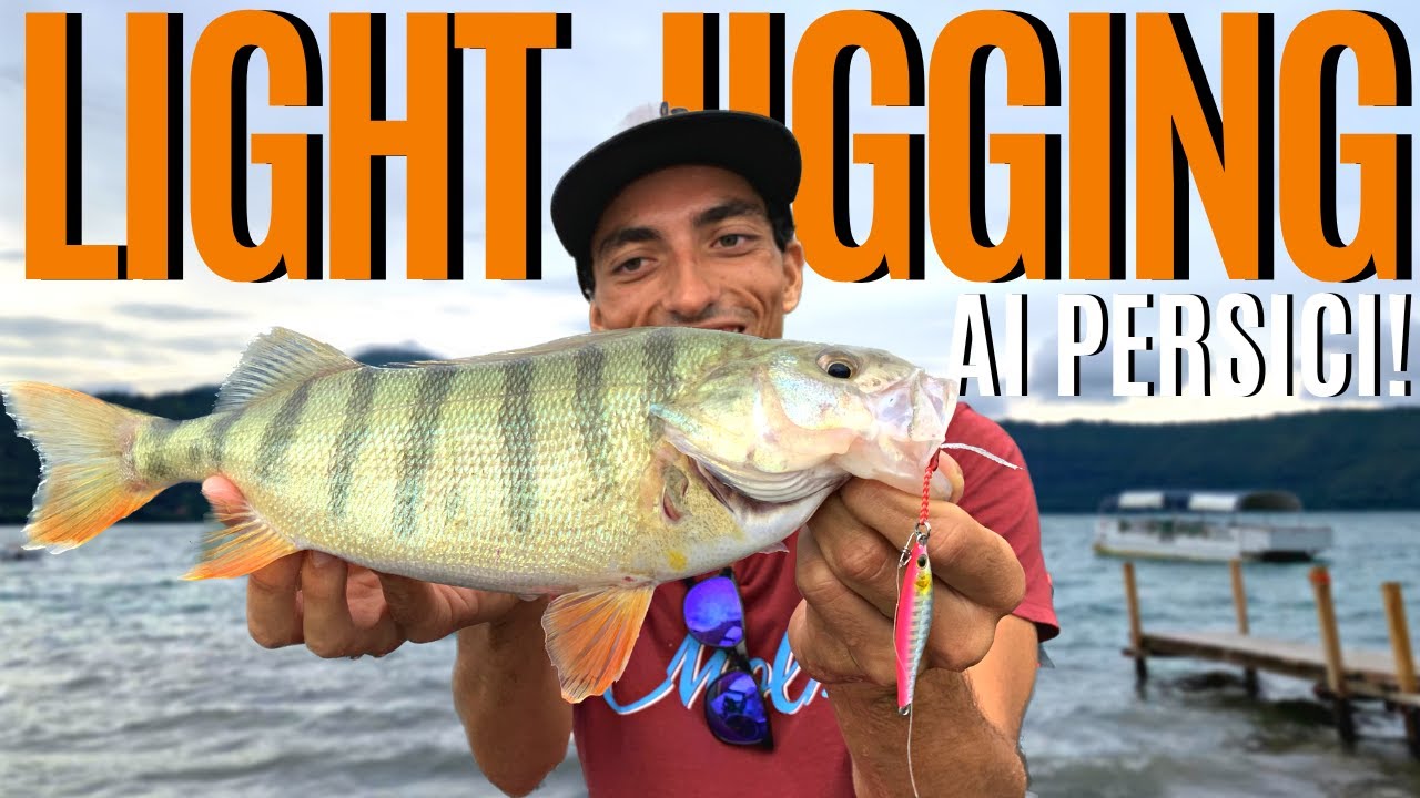 Pesco i PERSICI REALI con ESCHE DA MARE! Light Jigging al Persico Reale (4k)