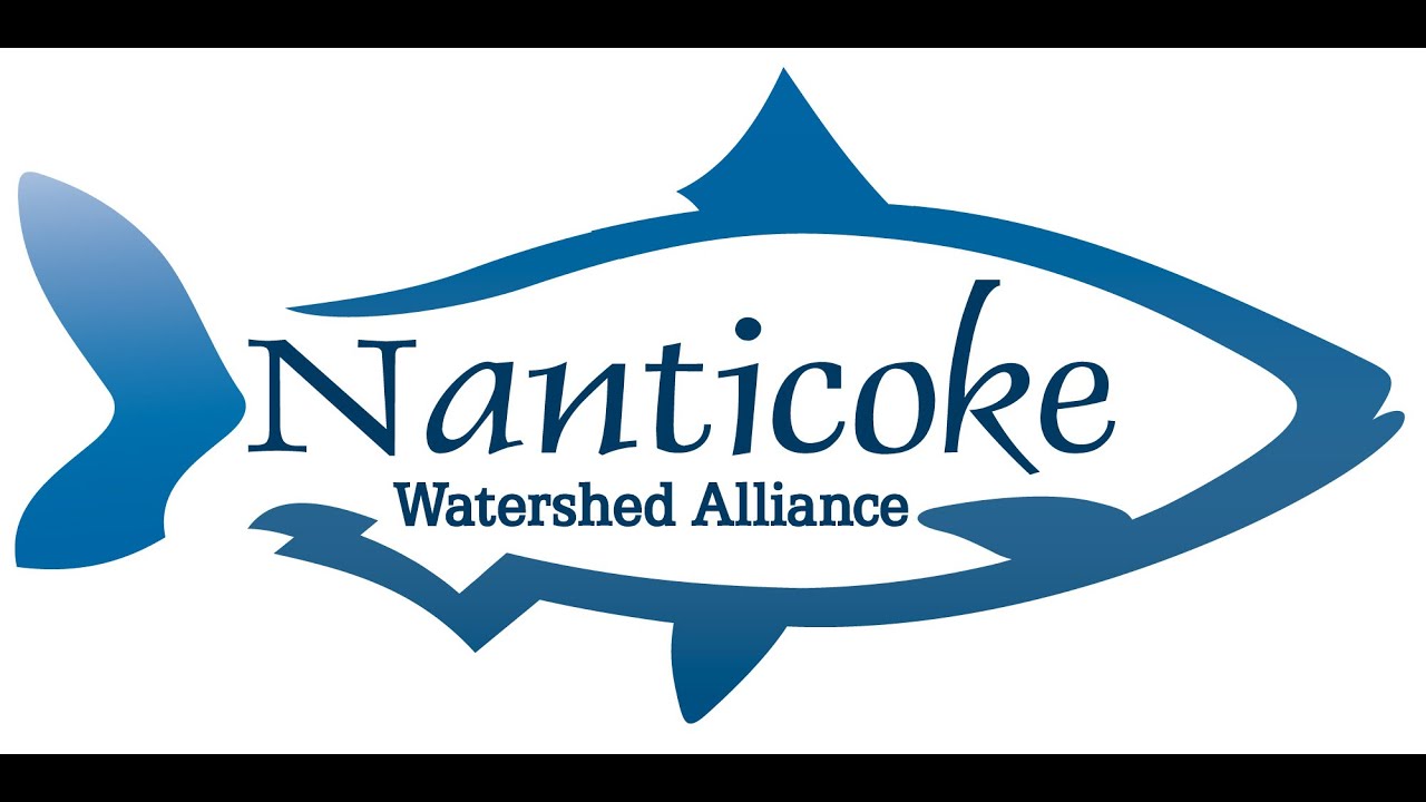 Nanticoke Creekwatchers: From Prep to Post-visit