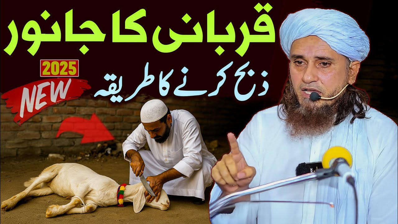 Qurbani Ke Janwar Ko Zibah Karne Ka Sharai Tarika | Mufti Tariq Masood Special Qurbani Ke Masail