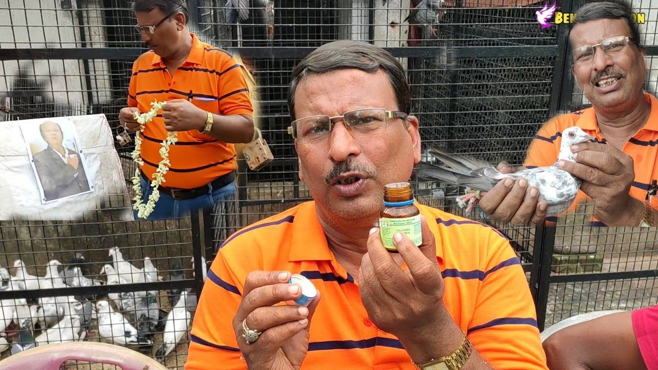 Some Useful Medicine For Your Pigeon | Form Expert Bholanath Chakraborty.. By Bengal Pigeon..