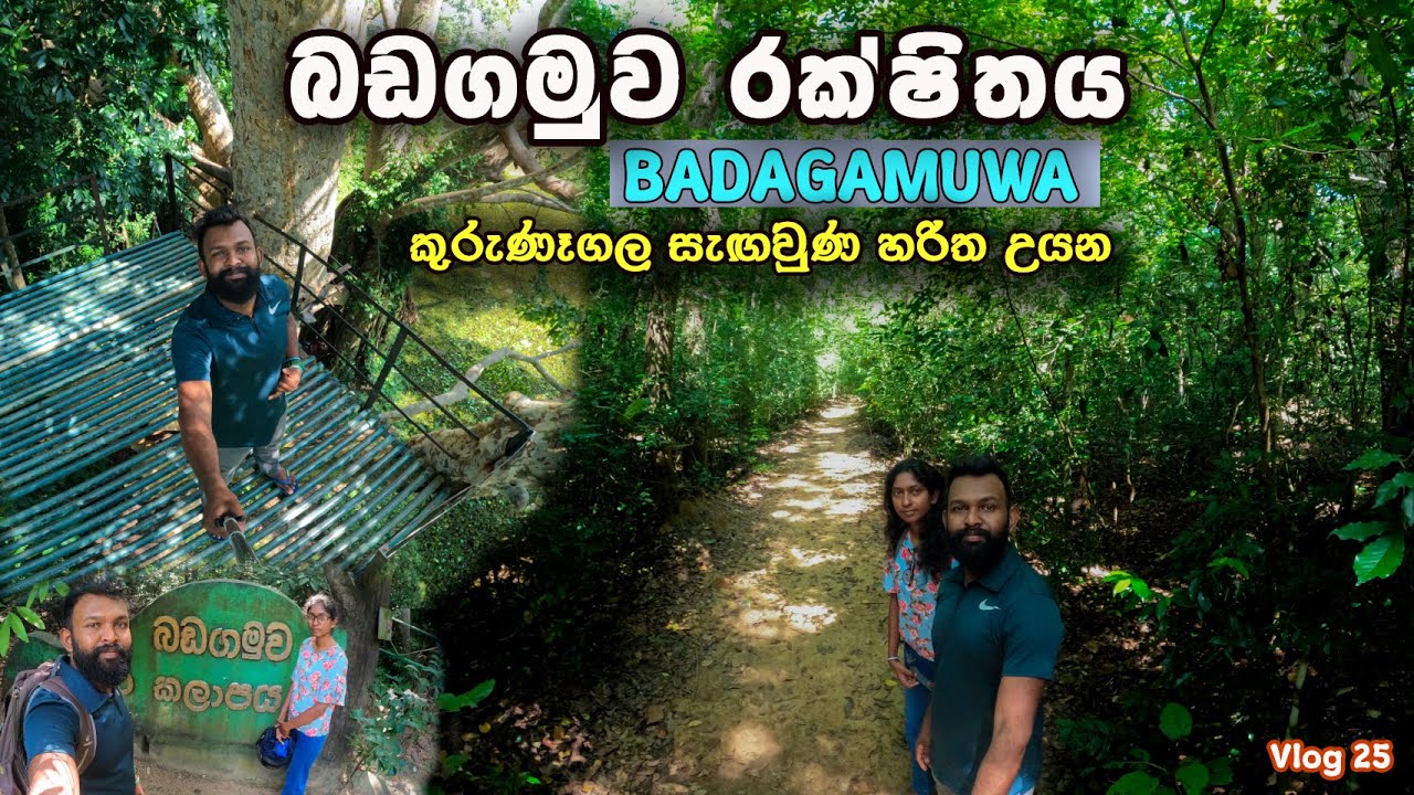 කුරුණෑගල මෙහෙම තැනක් | සැඟවුණ හරිත උයන | Badagamuwa Forest Kurunegala | Sri Lanka #badagamuwa