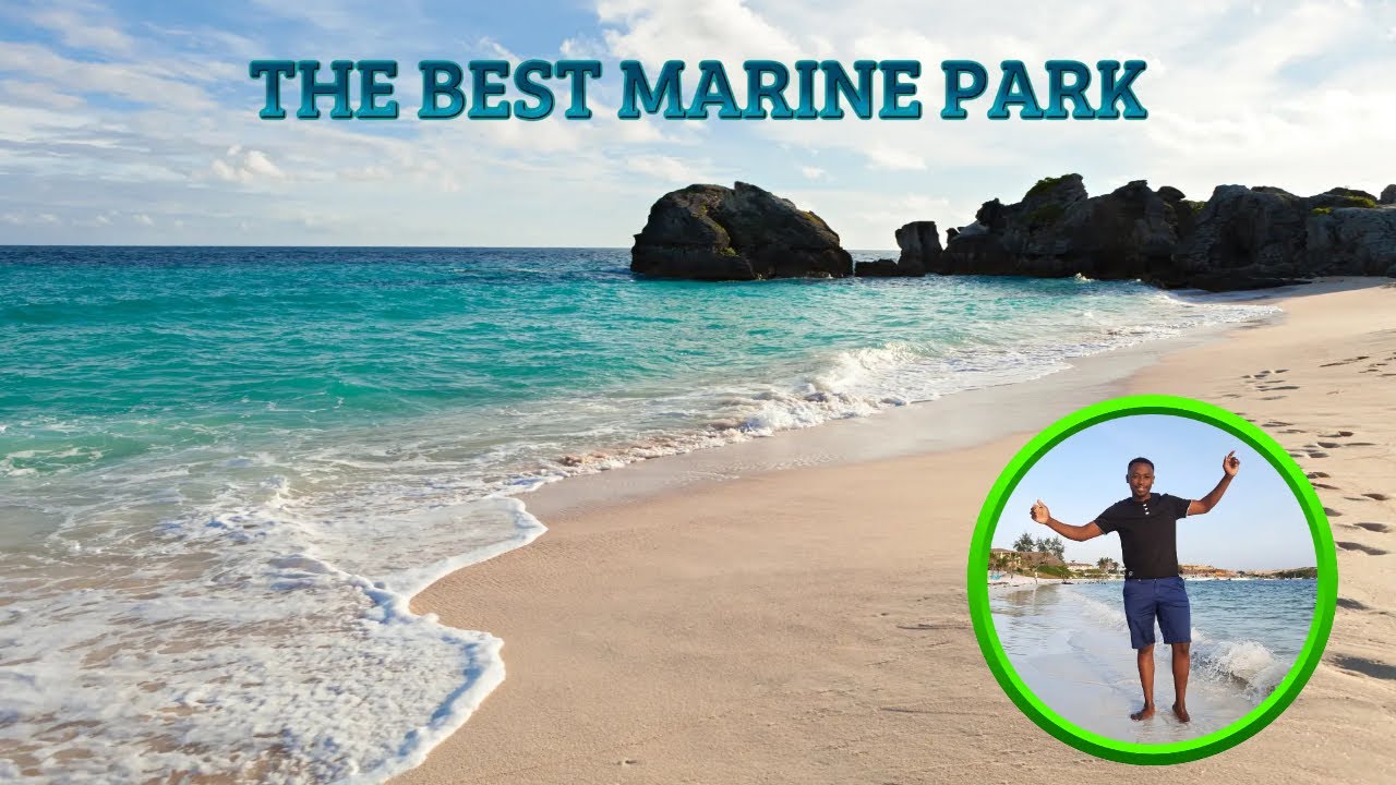 WATAMU SEA EXCURSION/ DOLPHINS IN WATAMU/SNORKELING IN KENYA