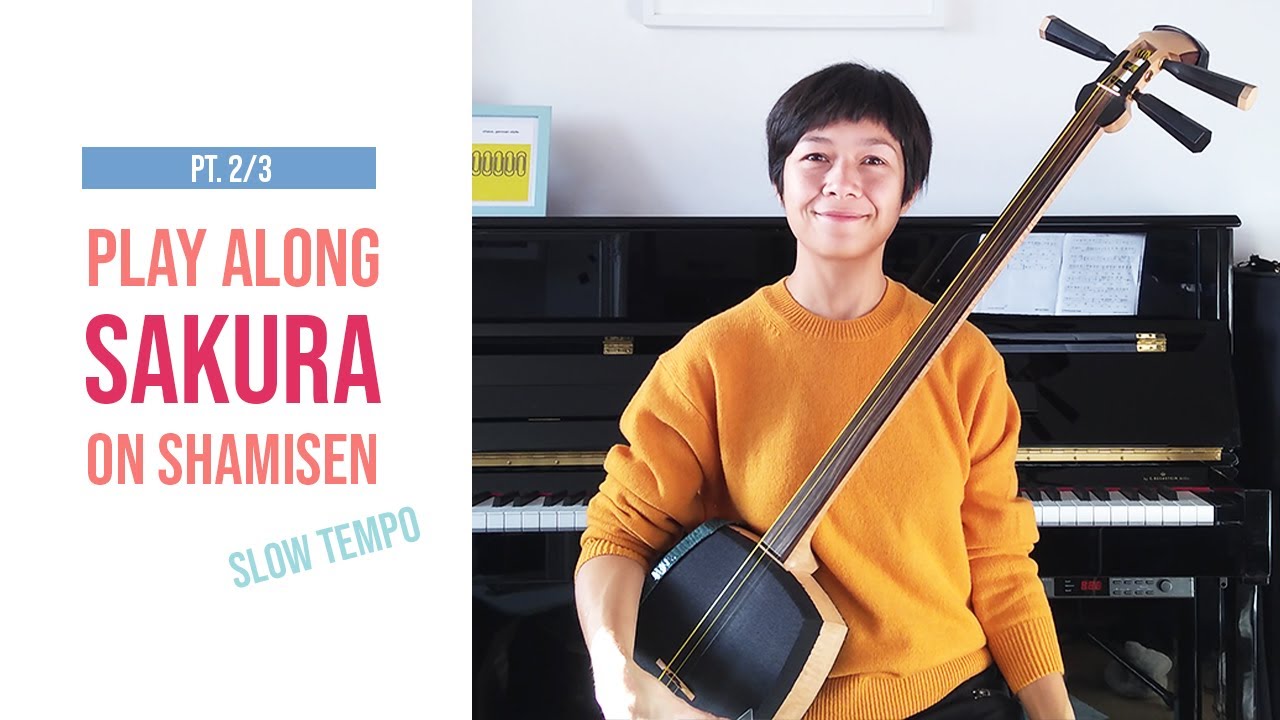 Sakura pt 2 | Play Along on Shamisen | slow tempo