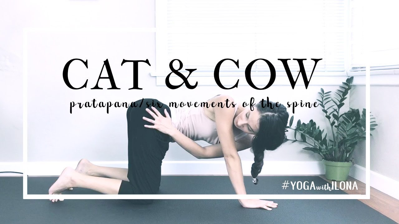 Pratapana in Cat + Cow || Easy Yoga Warm Up || Yoga With Ilona