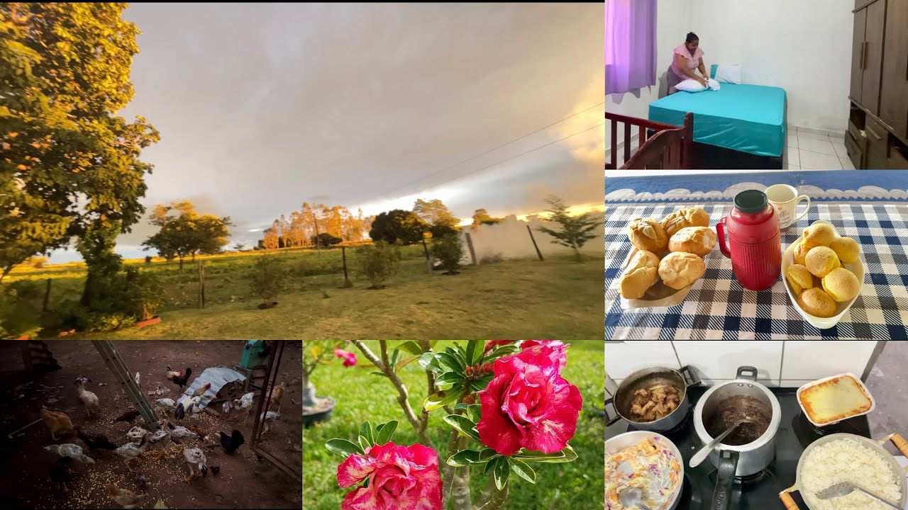 Um nasce do 🌞lindo aqui no sitio/ café ☕️ / limpei minha casa/ e fiz  janta 🍲/ tudo simples + amor❤️