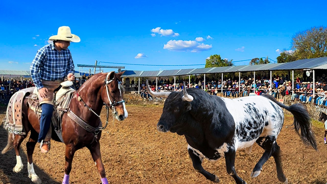 ¡¡LOS 15 MEJORES TOROS BRAVOS BUSCA CABALLOS!! JARIPEO EN LA MANZA MICHOACAN 26 DICIEMBRE 2025