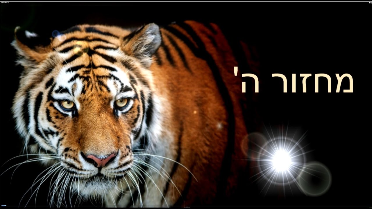 סרטון פתיחה - מכינת 