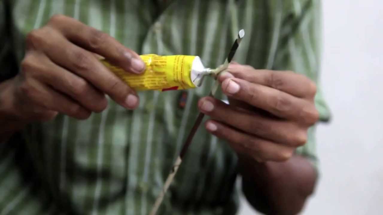 Tara Projects, Indien, IM Fair Trade