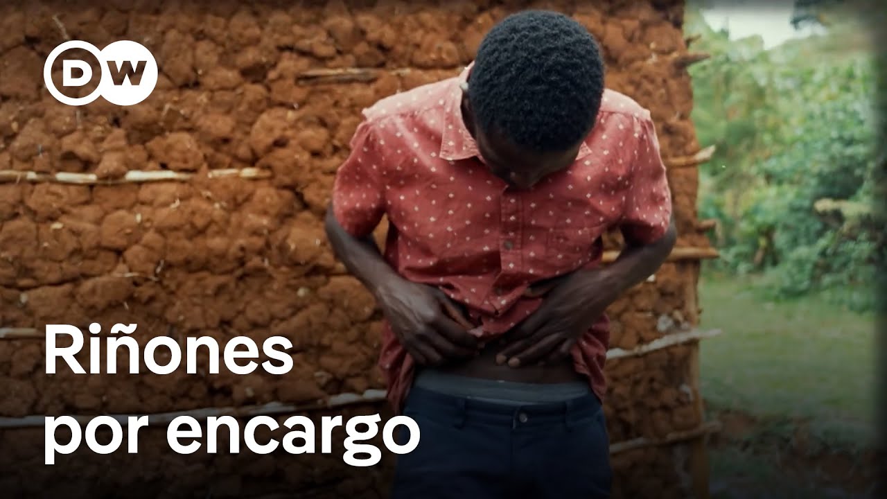 El Reportero | El comercio mundial de órganos