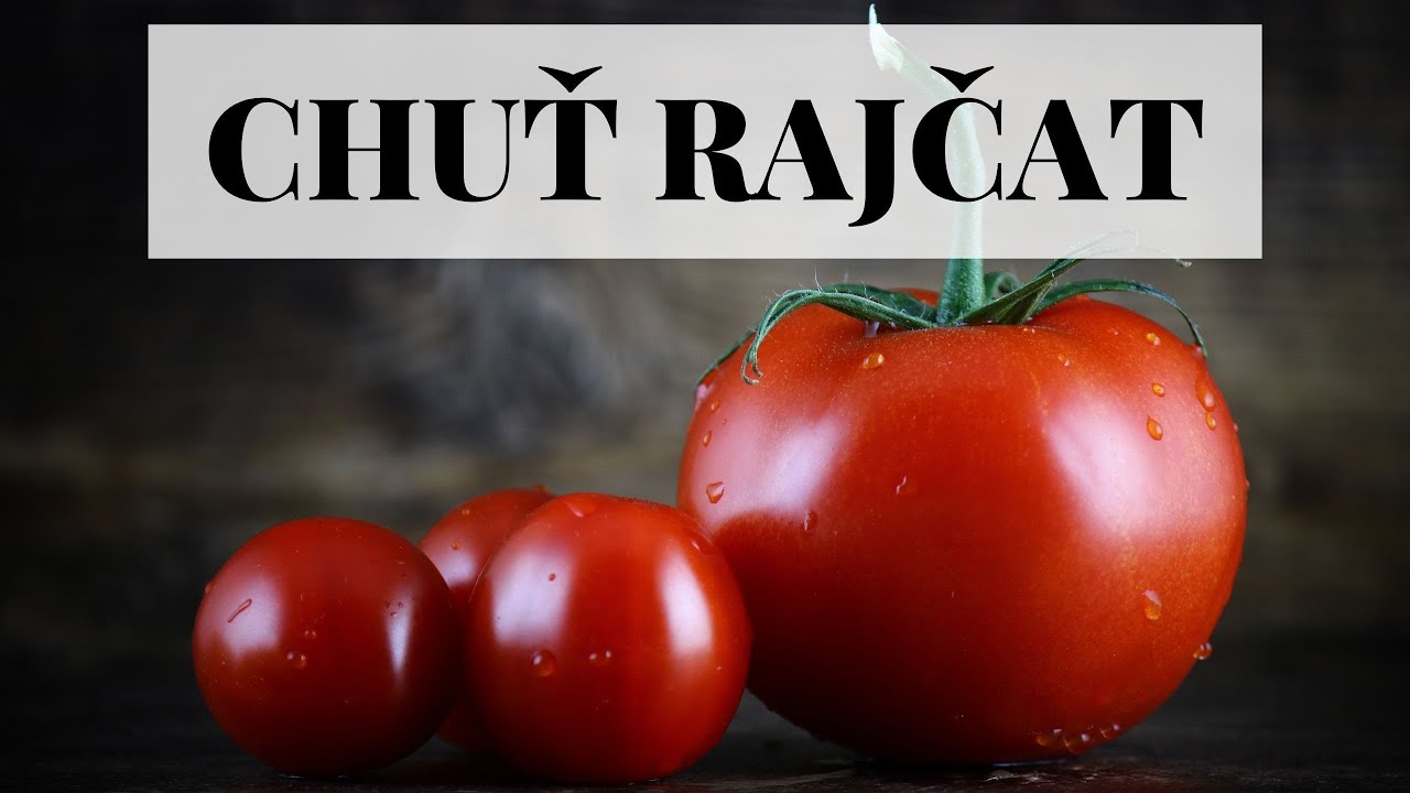 Jak vypěstovat ta nejchutnější rajčata