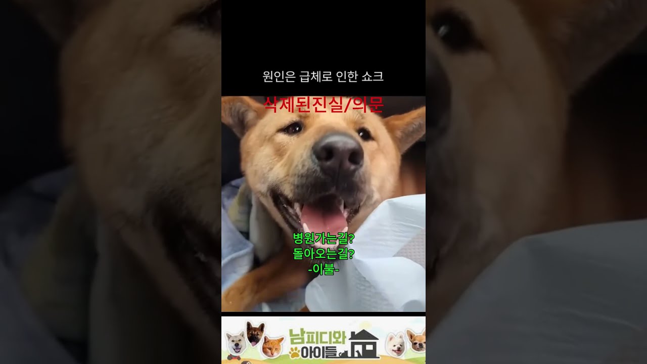 설명해주고 털자 . 너도 답답하지 않냐? #갑순이사망  #삼용이 #남피디와아이들논란 #밭지킴이 #구독이