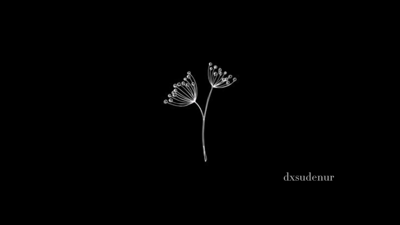 Dest Chef Bi - Lavinia { S L O W E D }