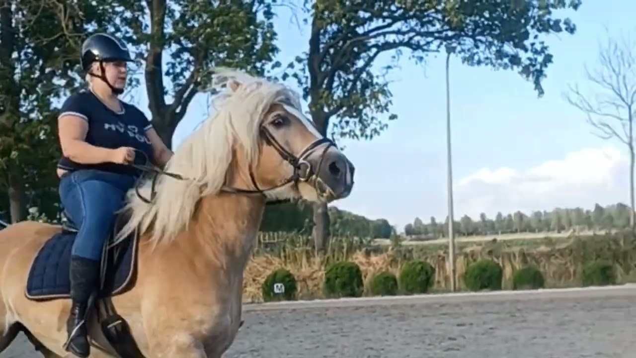 voor het eerst wiebbe weer opakken *jawel met gips !
