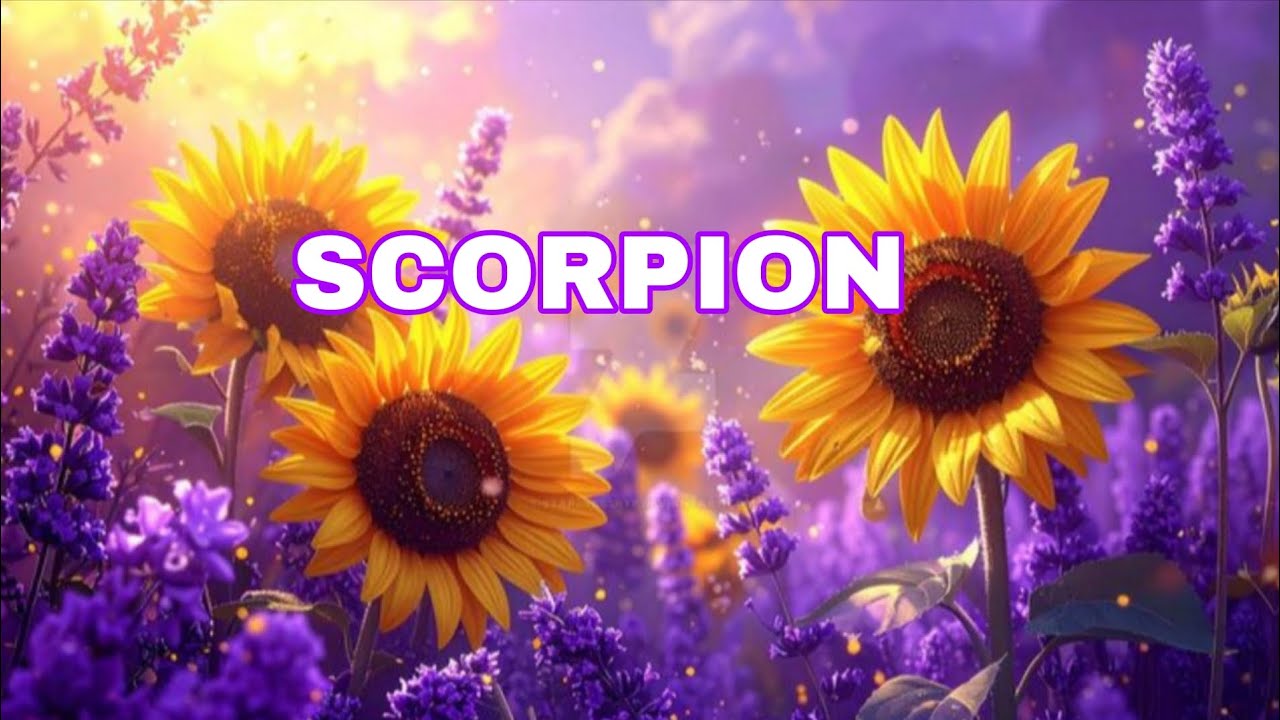 SCORPION 💜 FÉVRIER 2026 💫 DES SOLUTIONS FINANCIÈRES, UN PROJET DE CŒUR SE CONCRÉTISE !