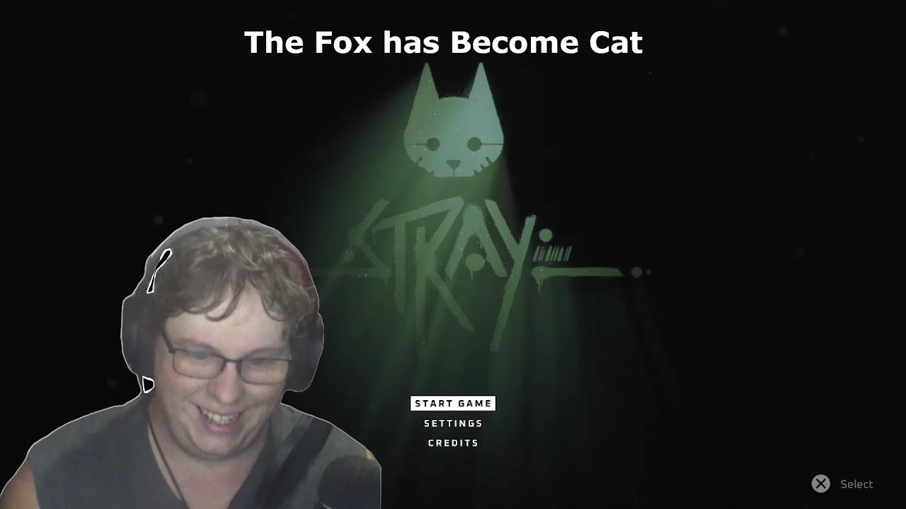 The Fox has Become Cat (Stray)